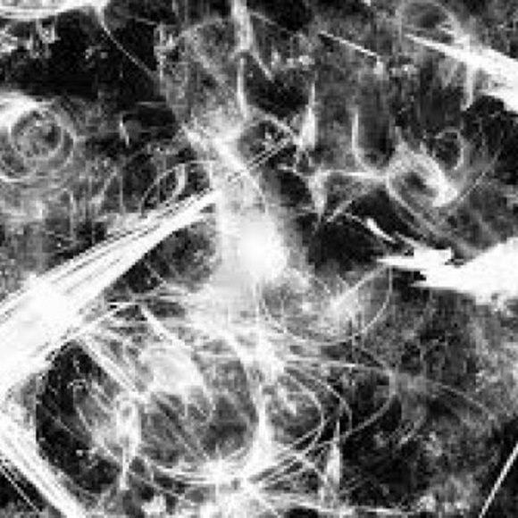 Meet your Posher, Cryptic - Picture 1 of 1